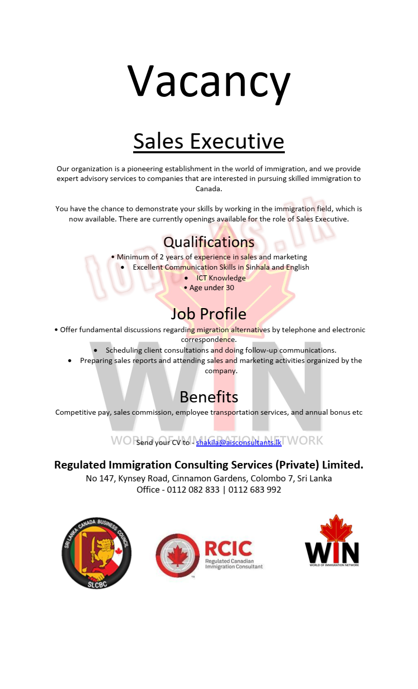 Sales Executive