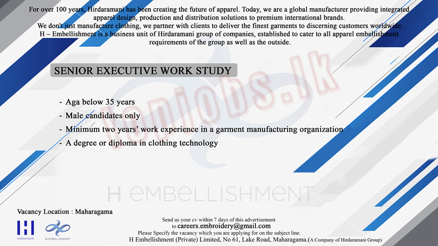 Senior Executive - Work Study