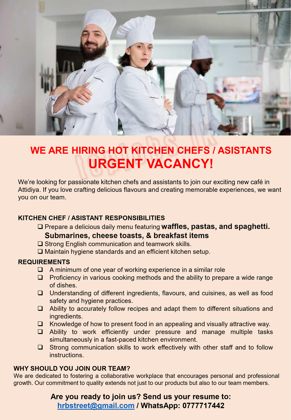 Hot Kitchen Chefs | Assistants