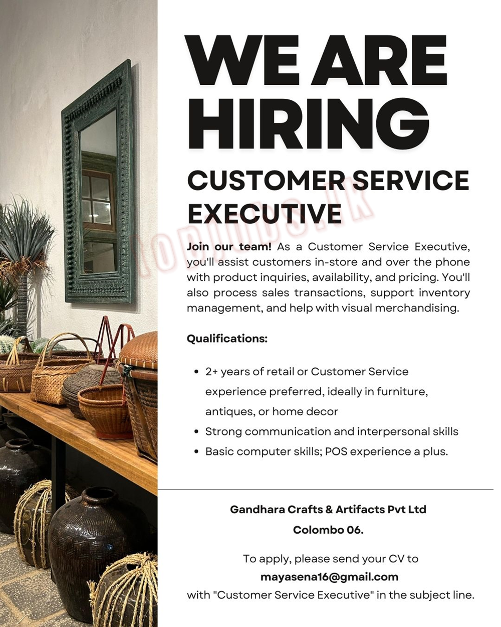 Customer Service Executive